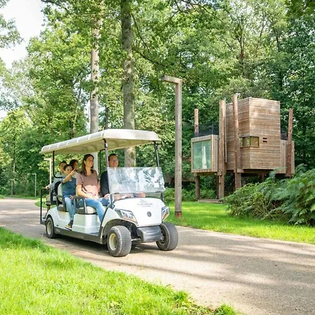 Elegant Mansion With Pools Hébergement de vacances *