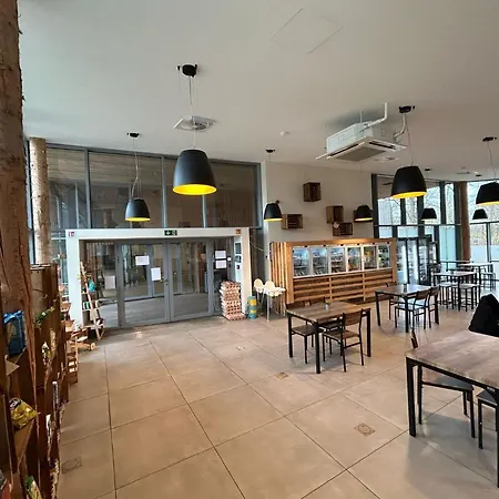 Elegant Mansion With Pools *